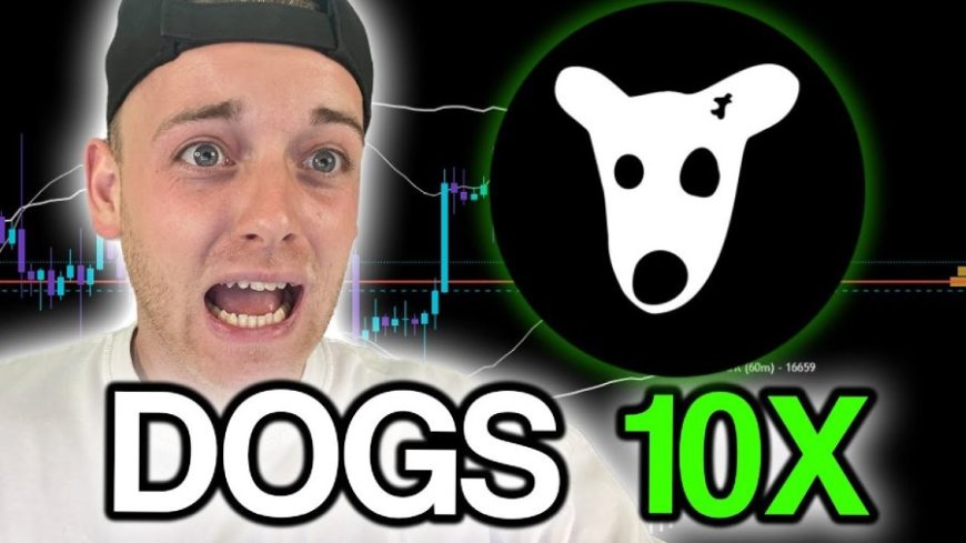 $DOGS’ Market Cap Bounces Back to $500M – Can Memebet Fuel the Next Meme Coin Surge? --[Reported by Umva mag]