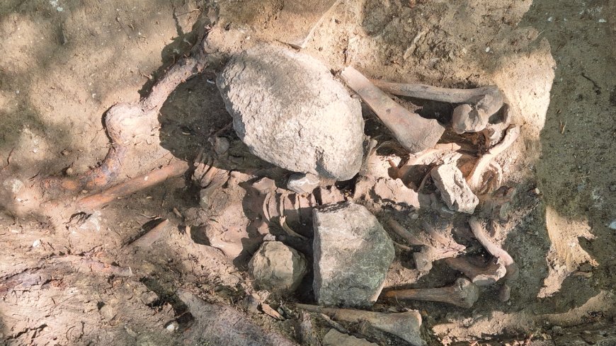 Man buried with large stones on his chest to prevent him from 'rising from the grave' unearthed in Germany --[Reported by Umva mag]