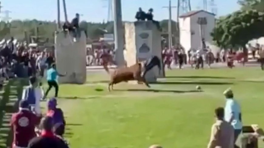 Horror moment raging bull impales man with horns and tosses him around like ragdoll in front of Spanish festivalgoers --[Reported by Umva mag]