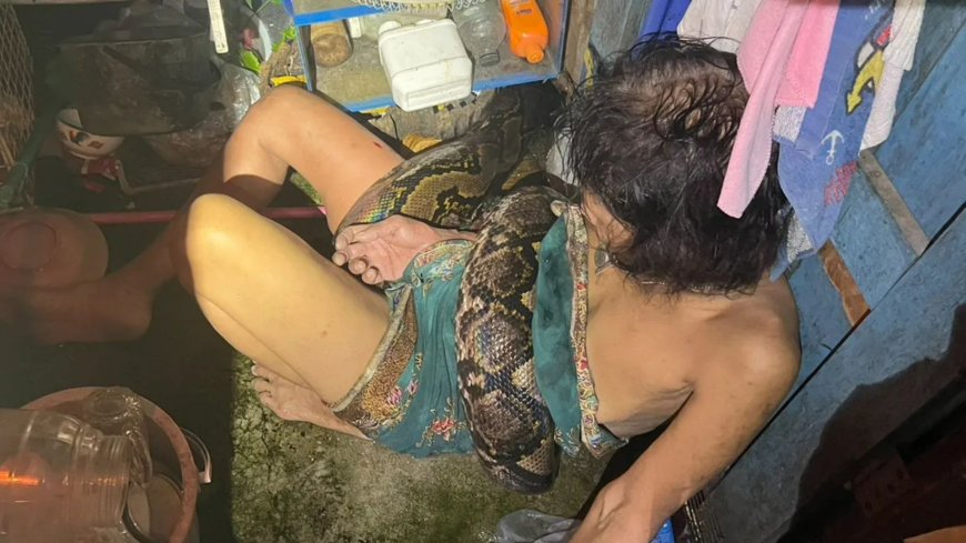 Horror moment gran is attacked by deadly 13ft python as bodycam shows beast try to squeeze life out of her in 4hr ordeal --[Reported by Umva mag]