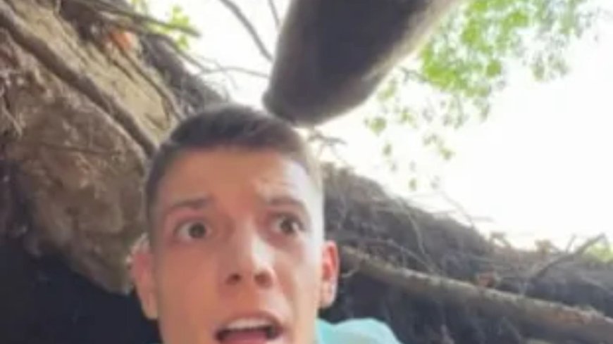 Heart-stopping moment idiot comes face-to-face with massive bear after trying to sneak into beast’s den --[Reported by Umva mag]