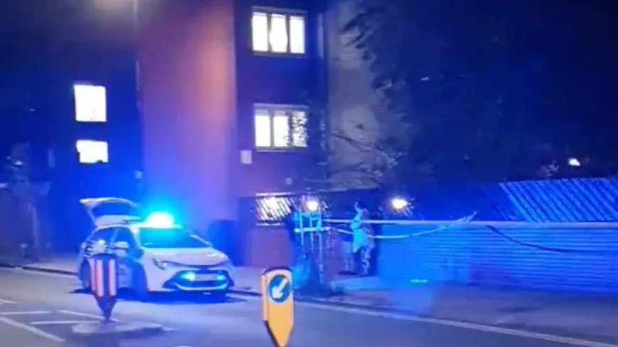 Woman, 32, is charged with murder of another woman, 31, found stabbed to death in foyer at block of flats --[Reported by Umva mag]