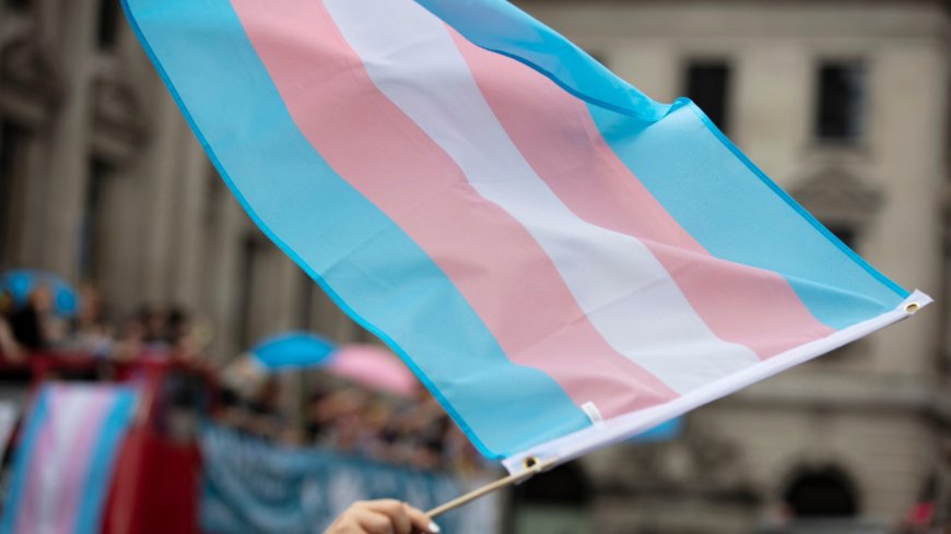 The government must continue to stand resolutely opposed to the sinister trans madness plaguing Britain --[Reported by Umva mag]