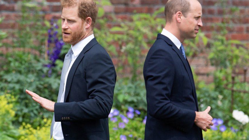 It’s possible for William and Harry to get their old act back together like Oasis… but not while Duke is with Meghan --[Reported by Umva mag]