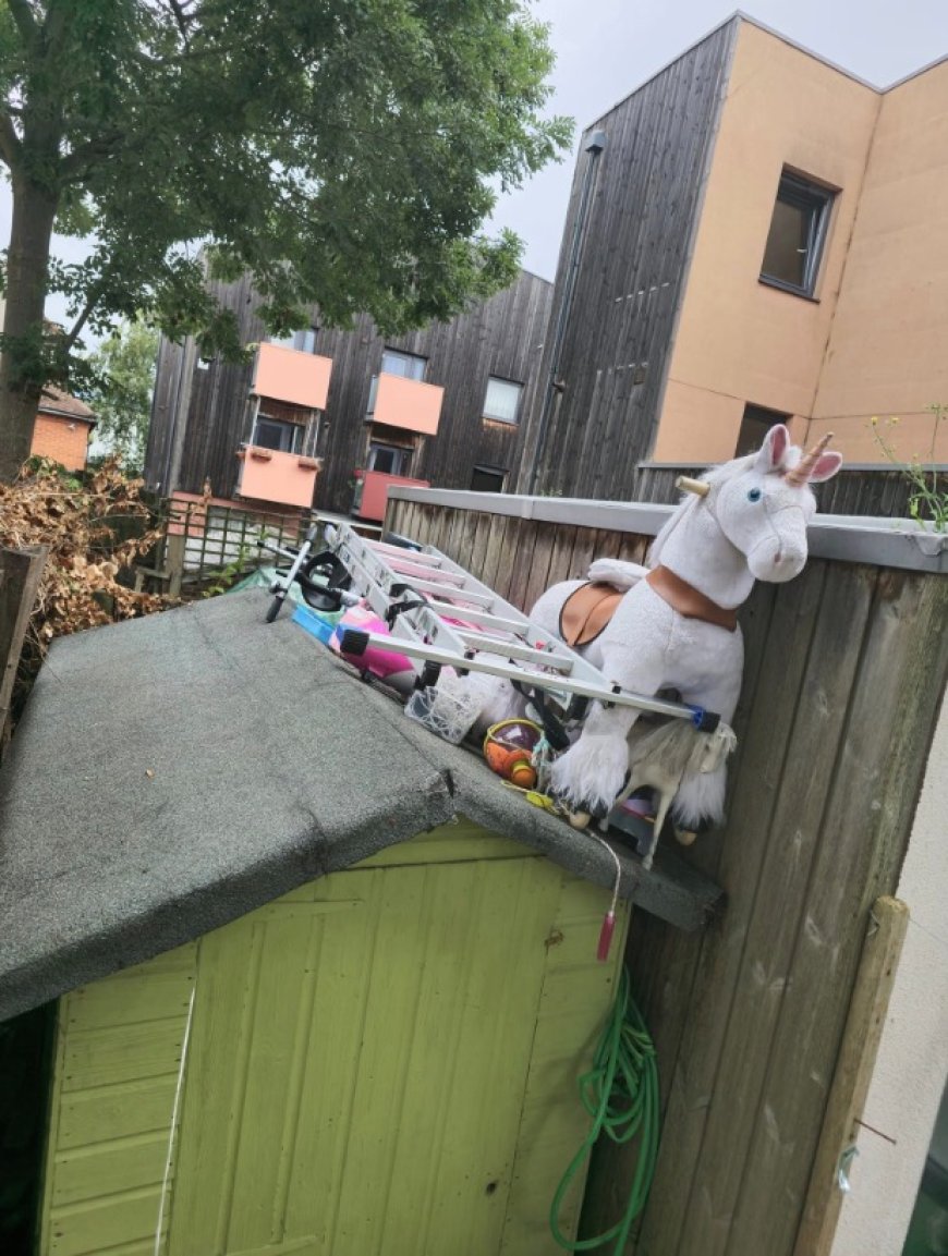 My neighbour is threatening LEGAL action over my kids’ unicorn toy on my shed roof – they’re moaning it’s an eyesore --[Reported by Umva mag]