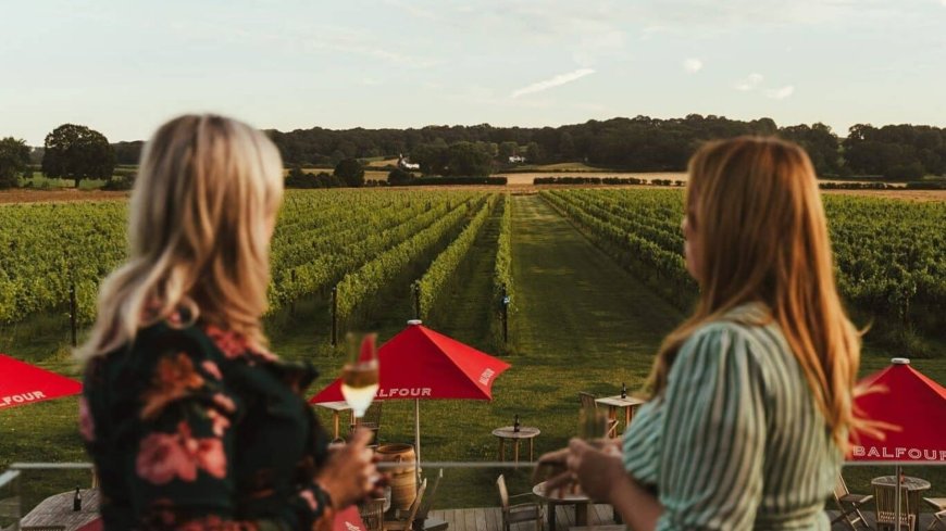 Stunning English vineyard that calls itself ‘best in UK’ – close to London and perfect for an autumn walk --[Reported by Umva mag]