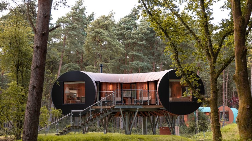 Stunning treehouse stays perfect for an autumn break – with free wine, cheese hampers and hot tubs --[Reported by Umva mag]