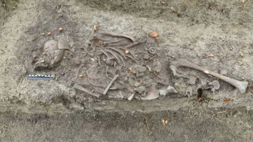 Archaeologists find ANOTHER ‘child vampire’ graveyard where kids were decapitated to ‘stop them climbing out of grave’ --[Reported by Umva mag]