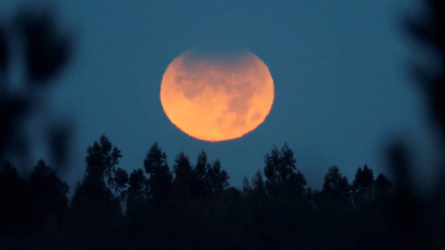 Double delight as rare supermoon AND partial lunar eclipse set to grace skies – when and where to see them revealed --[Reported by Umva mag]