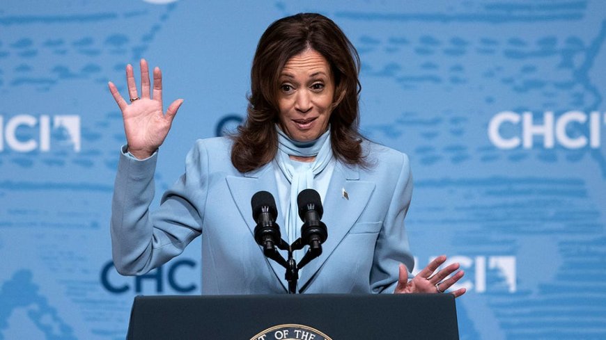 Harris team 'not aware' of stolen Trump docs sent 'directly' to Biden camp --[Reported by Umva mag]