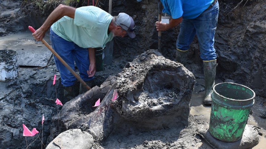 Archaeologists unearth 13,000-year-old mastodon skull in Iowa --[Reported by Umva mag]