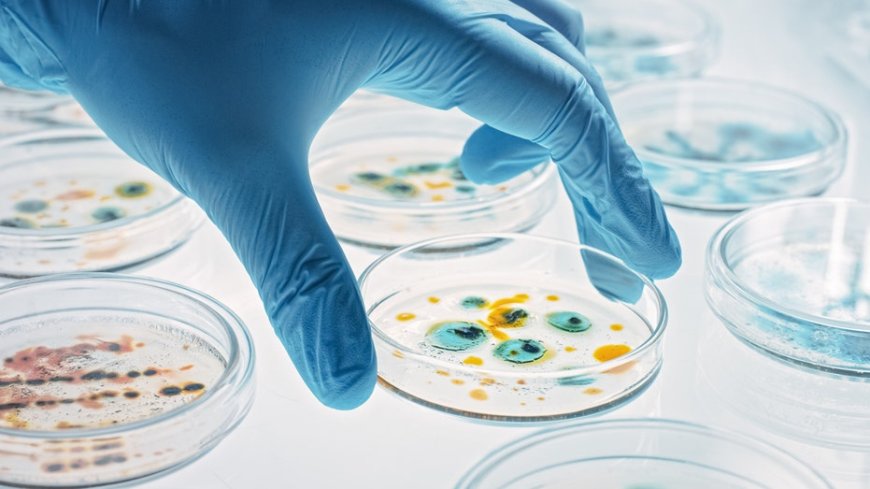 Superbugs due to antibiotic resistance could kill 39 million people by 2050, large study finds --[Reported by Umva mag]