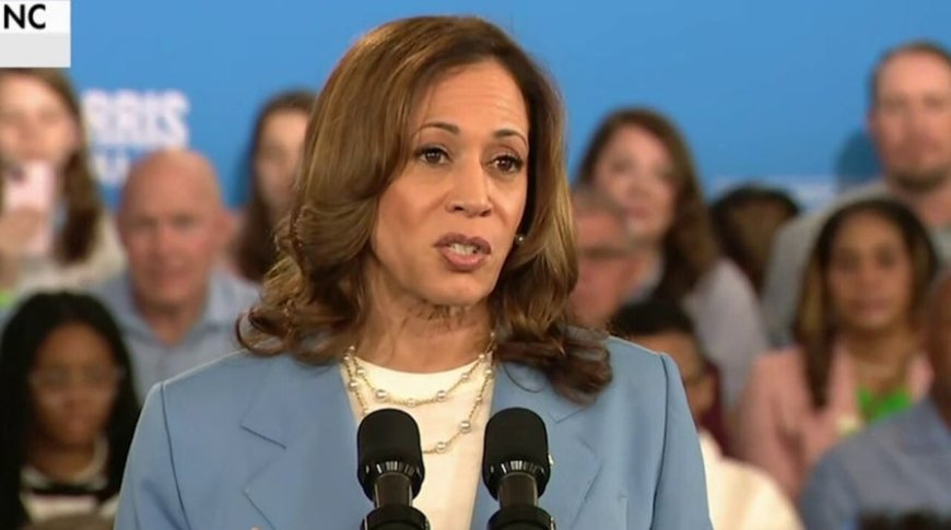 Why Kamala Harris’ $25,000 down payment program is just like the electric vehicle boondoggle --[Reported by Umva mag]