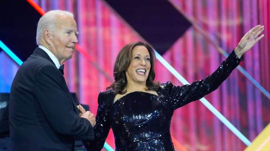 Biden-Harris’ reckless restart of a fraud-ridden immigration program --[Reported by Umva mag]