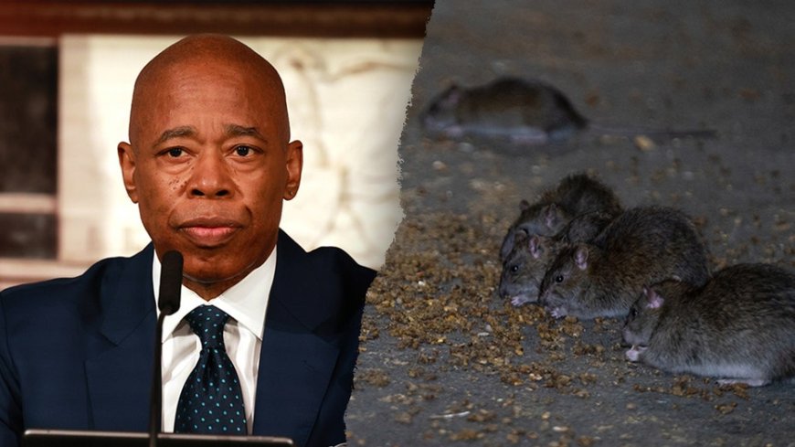 New York City hosts inaugural 'Urban Rat Summit' in hopes to combat rodent problem: 'Quality of life issue' --[Reported by Umva mag]