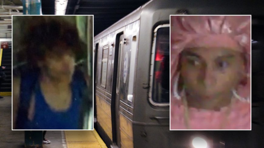 Suspects take New York City subway train on a joyride before crashing and fleeing: police --[Reported by Umva mag]