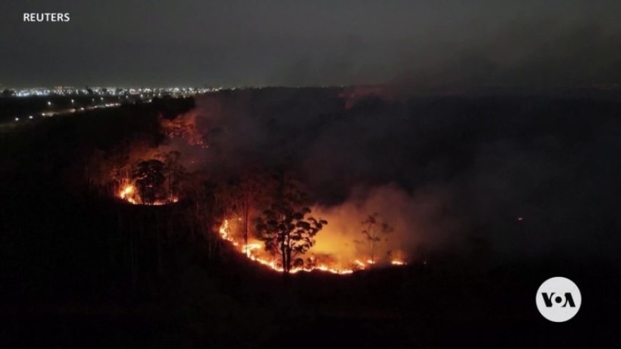 Fires destroy 11 million hectares of Brazil’s plantations, native forests --[Reported by Umva mag]