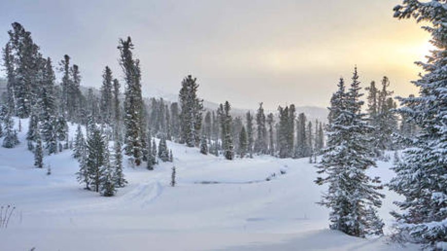 First snow falls in largest Siberian region (VIDEO, IMAGES) --[Reported by Umva mag]