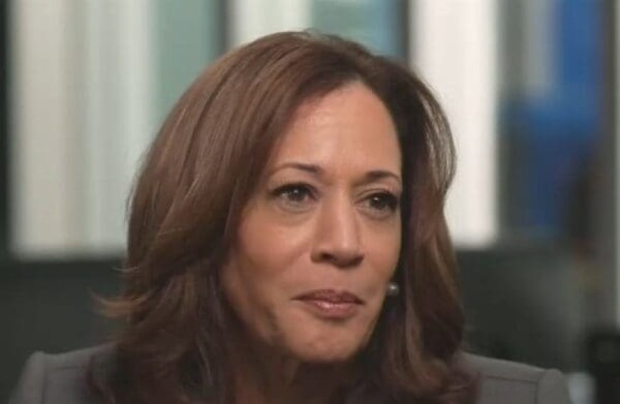 Why Did Over 100 GOP Former National Security Officials Endorse Kamala Harris? --[Reported by Umva mag]