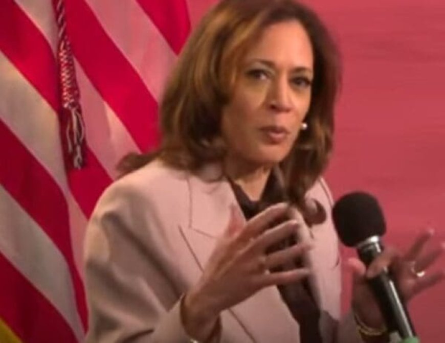 Kamala Harris Devastates Trump And Vance On Springfield --[Reported by Umva mag]