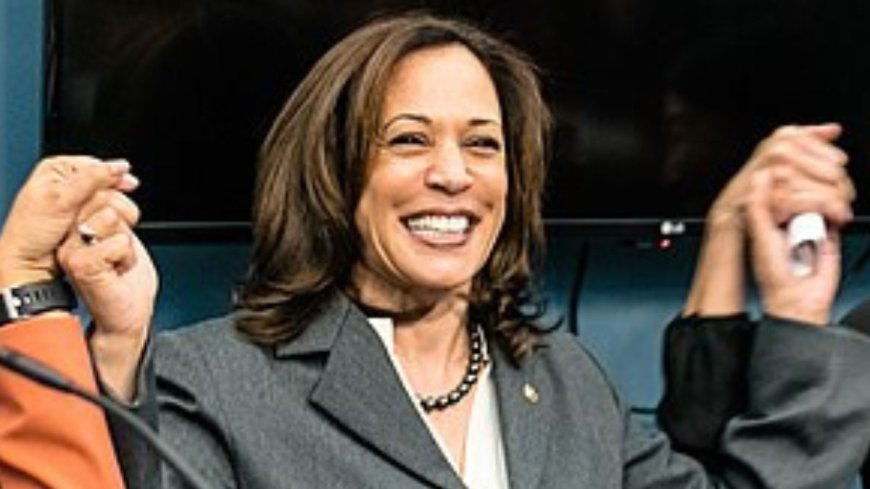 Poll: Majority Strongly Opposes Noncitizens Voting and Blame Kamala Harris for Border Crisis --[Reported by Umva mag]