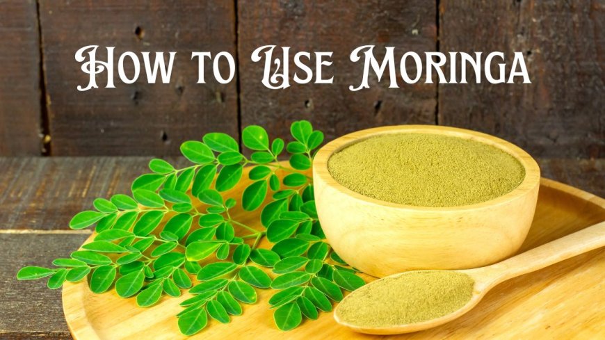 How to Use Moringa for Better Health Management? --[Reported by Umva mag]