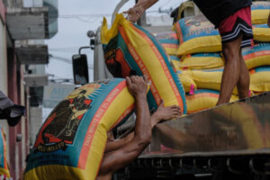 Rice prices seen to further fall --[Reported by Umva mag]