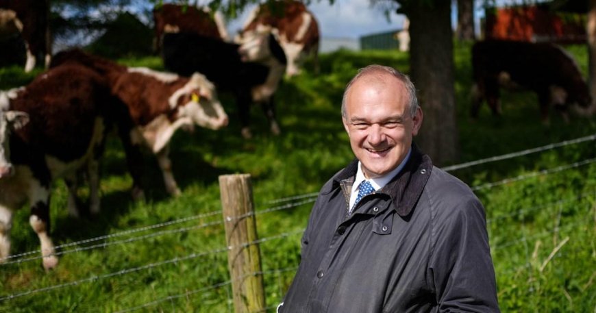 Ed Davey reveals why he didn’t stick his hand inside a cow while campaigning --[Reported by Umva mag]