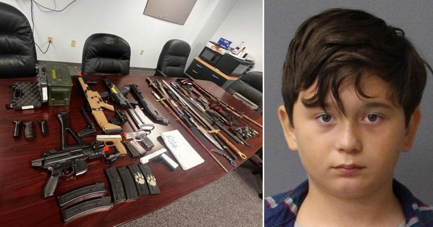 Terrifying cache of weapons baby-faced boy, 11, amassed ‘for school shooting’ --[Reported by Umva mag]