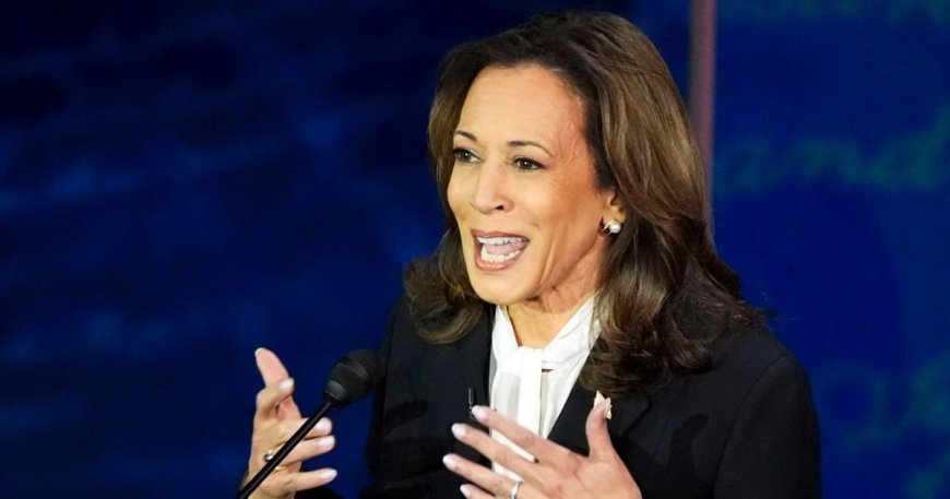 Kamala’s debate ‘audio earrings’ company makes snarky offer to Trump --[Reported by Umva mag]