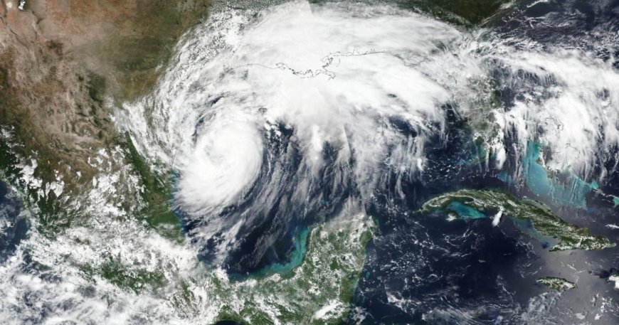 Hurricane Francine makes landfall in US as Category 2 storm with violent winds --[Reported by Umva mag]