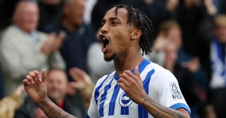 Joao Pedro injury latest from Fabian Hurzeler ahead of Brighton vs Nottingham Forest --[Reported by Umva mag]