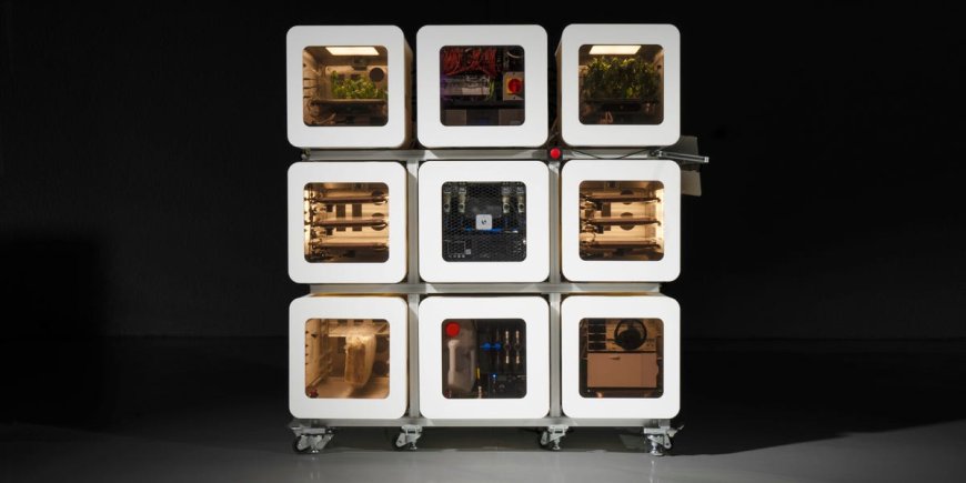 NASA awarded $750,000 to a business that wants to feed astronauts fresh microgreens and insects --[Reported by Umva mag]