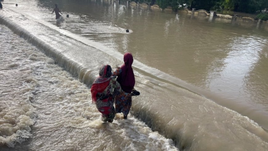 Nigeria flags flood risk in 11 states as Cameroon releases dam water  --[Reported by Umva mag]