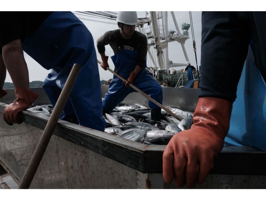 Japan Eyes Deal to End Chinese Ban on Seafood Imports, Media Say --[Reported by Umva mag]