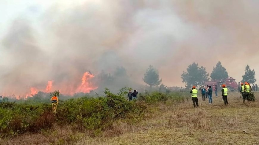 Fires in Peru destroy crops, threaten archaeological sites --[Reported by Umva mag]