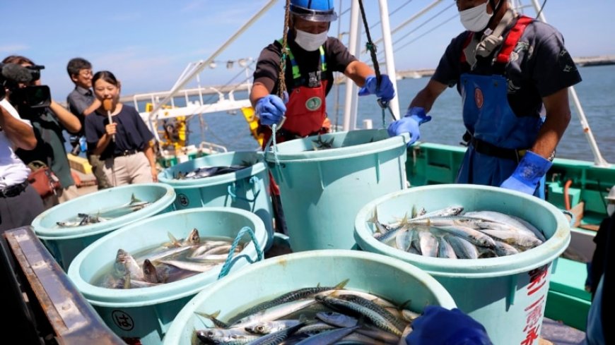 China says it will resume importing Japanese seafood --[Reported by Umva mag]