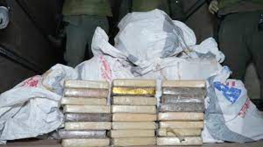 Guinea-Bissau incinerates 2.6 tons of cocaine --[Reported by Umva mag]