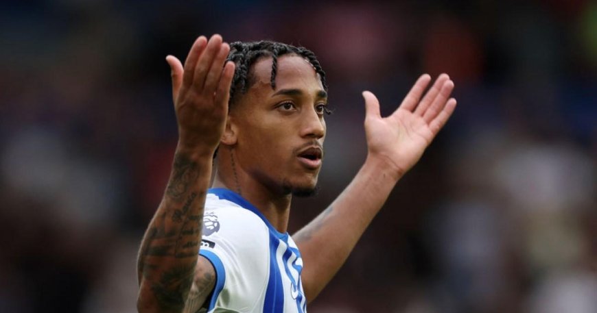 New Joao Pedro injury update from Brighton manager Fabian Hurzeler --[Reported by Umva mag]