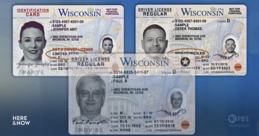 BREAKING: Lawsuit Filed in Wisconsin to Remove Any Potential Non-US Citizens in WisVote Database Before November 5th Presidential Election --[Reported by Umva mag]