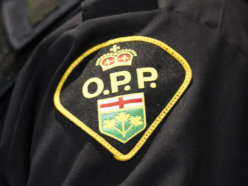 Four people found dead in Temiskaming Shores, Ont., house fire: OPP --[Reported by Umva mag]