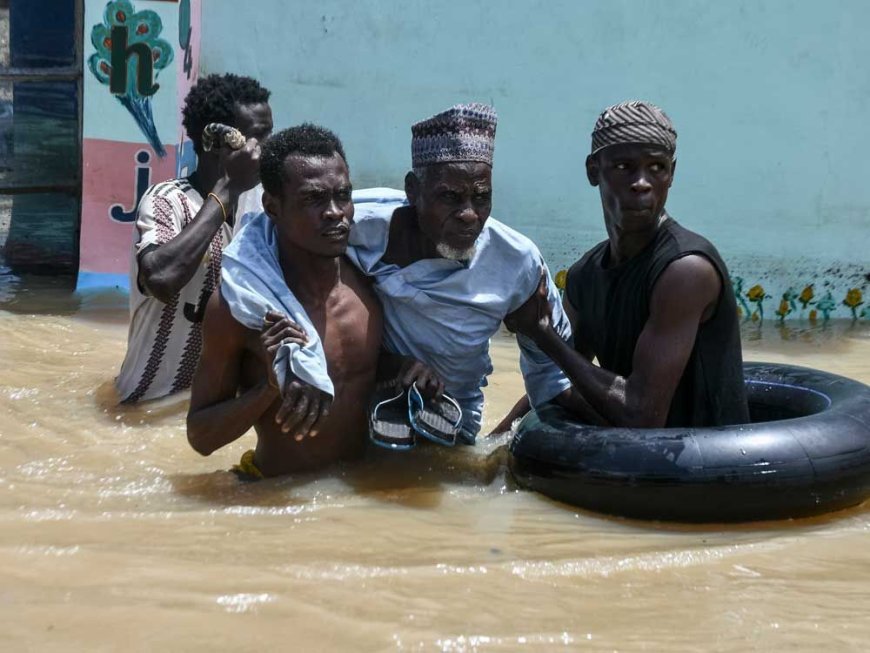 Corpses of crocodiles, snakes float among human bodies as torrential rains sweep through West and Central Africa --[Reported by Umva mag]