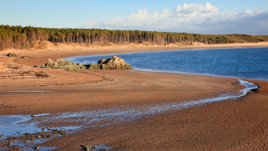 Pretty UK beach where the ‘forest meets the sea’ – with miles of golden sand and tiny island --[Reported by Umva mag]