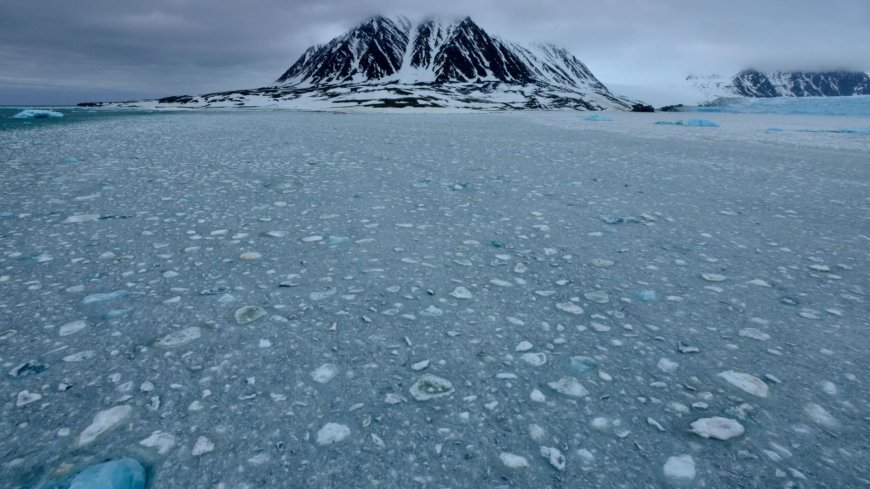 Inside remote bear-riddled Arctic island once used for Soviet atomic tests…that will now become Putin’s nuke playground --[Reported by Umva mag]