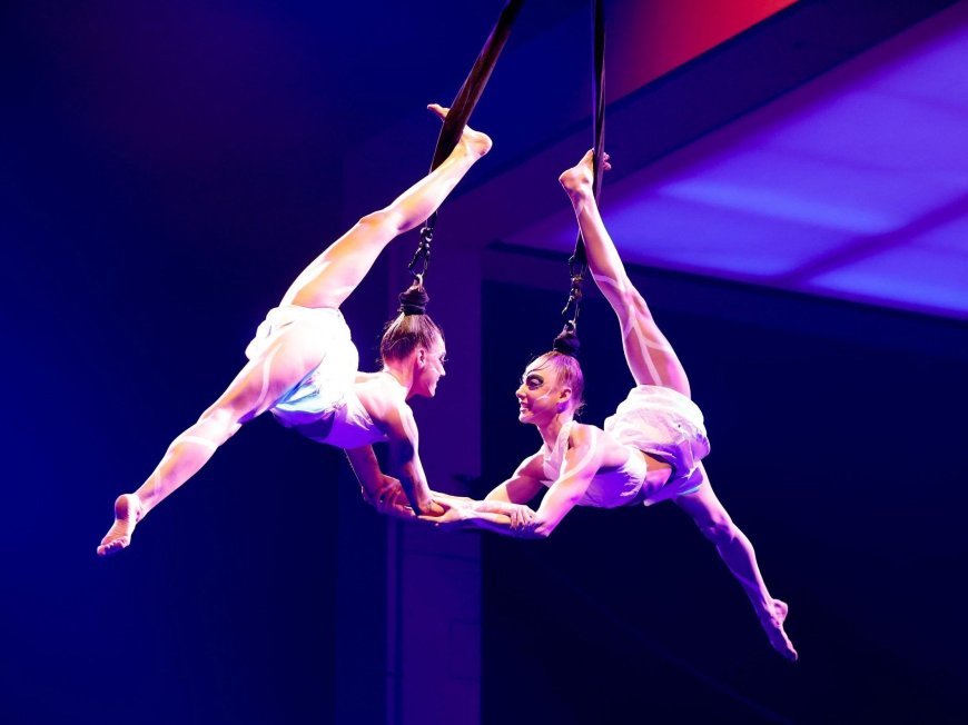 Bureaucrats spend $700K in concert, circus, event tickets --[Reported by Umva mag]