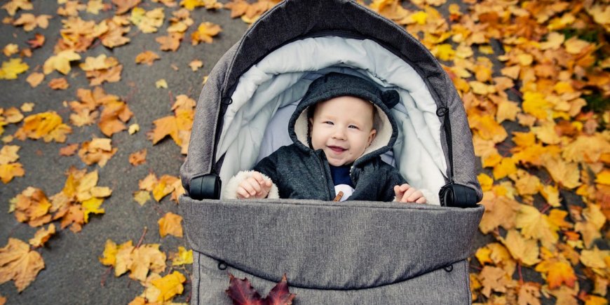 A naming expert shares 22 names for babies born in the fall. She suggests getting inspiration from colors and fall traditions. --[Reported by Umva mag]