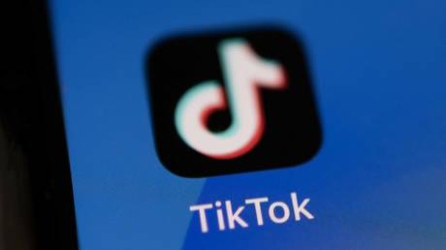 TikTok deletes RT and Sputnik accounts --[Reported by Umva mag]