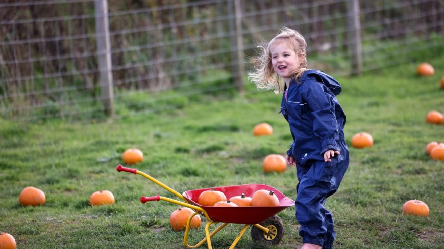 Eleven of the UK’s most popular pumpkin patches that kids will love this autumn --[Reported by Umva mag]