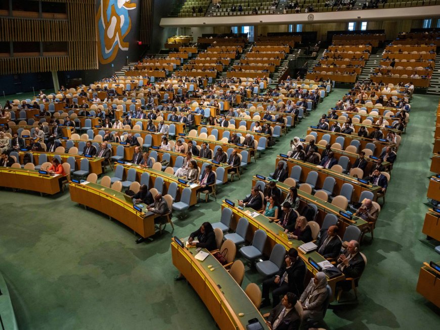 No, the UNGA resolution on Palestine was not a win --[Reported by Umva mag]