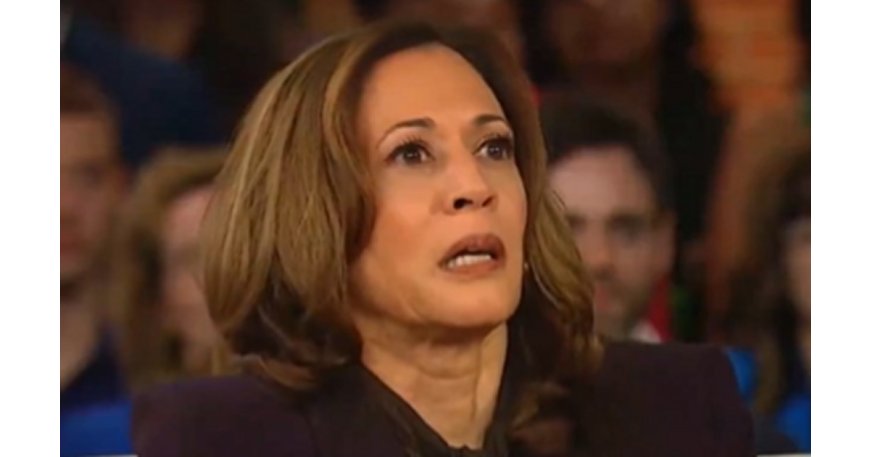 Kamala Harris Faces Fierce Criticism from CNN: Could This Be a Turning Point in Her 2024 Campaign? --[Reported by Umva mag]